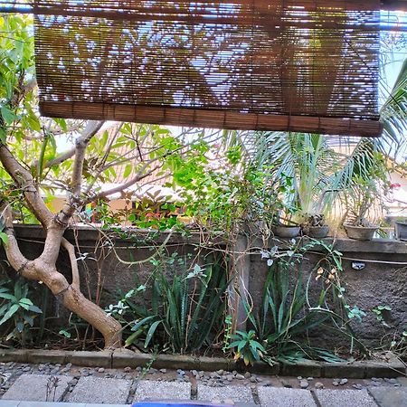 Dharma Yoga Homestay Dan Hostel Amed Zewnętrze zdjęcie